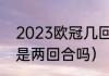 2023欧冠几回合制（2023欧冠决赛是两回合吗）