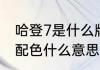 哈登7是什么牌子的鞋子（哈登7收官配色什么意思）