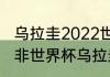 乌拉圭2022世界杯阵容实力排名（南非世界杯乌拉圭第几名）