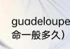 guadeloupe是哪个国家（大兜虫寿命一般多久）