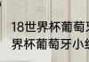 18世界杯葡萄牙小组赛情况（2018世界杯葡萄牙小组赛成绩）