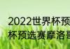 2022世界杯预选赛非洲积分榜（世界杯预选赛摩洛哥战绩）