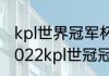 kpl世界冠军杯2021总决赛谁能赢（2022kpl世冠冠军是谁）