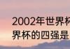 2002年世界杯，四强分别是（02世界杯的四强是哪四支）