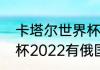 卡塔尔世界杯乌克兰出线了吗（世界杯2022有俄国吗）