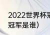 2022世界杯冠亚军（2022年世界杯冠军是谁）