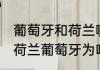 葡萄牙和荷兰哪个面积大（06世界杯荷兰葡萄牙为啥打起来了）