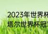 2023年世界杯预计冠军（2022年卡塔尔世界杯冠军会是谁）