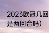 2023欧冠几回合制（2023欧冠决赛是两回合吗）