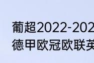 葡超2022-2023各队实力（意甲法甲德甲欧冠欧联英超有什么区别）