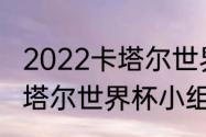 2022卡塔尔世界杯小组赛积分榜（卡塔尔世界杯小组赛晋级规则）