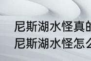 尼斯湖水怪真的存在吗是长怎样的（尼斯湖水怪怎么捏）