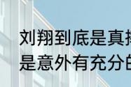 刘翔到底是真摔还是假摔（刘翔摔倒是意外有充分的证据么）