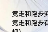 竞走和跑步究竟有什么具体的区别（竞走和跑步有什么区别，怎么才算犯规）