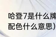 哈登7是什么牌子的鞋子（哈登7收官配色什么意思）