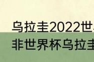 乌拉圭2022世界杯阵容实力排名（南非世界杯乌拉圭第几名）