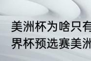 美洲杯为啥只有南美球队（2022年世界杯预选赛美洲杯小组情况）