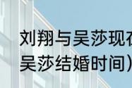 刘翔与吴莎现在有孩子了吗（刘翔与吴莎结婚时间）