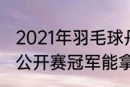 2021年羽毛球丹麦公开赛冠军（丹麦公开赛冠军能拿多少奖金）