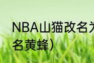 NBA山猫改名为什么（山猫为什么改名黄蜂）