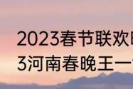 2023春节联欢晚会有赵露思吗（2023河南春晚王一博什么节目）