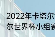 2022年卡塔尔世界杯比赛结果（卡塔尔世界杯小组赛战绩）