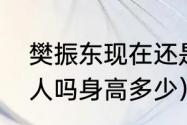 樊振东现在还是现役吗（樊振东是军人吗身高多少）