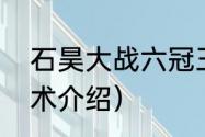 石昊大战六冠王是什么实力（麒麟宝术介绍）