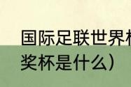 国际足联世界杯奖杯名字（世界杯的奖杯是什么）