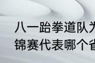 八一跆拳道队为什么解散（樊振东全锦赛代表哪个省）