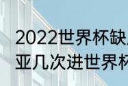 2022世界杯缺席强队有哪些（尼日利亚几次进世界杯）