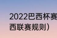 2022巴西杯赛制规则说明（2021巴西联赛规则）