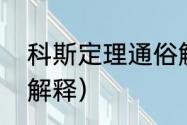 科斯定理通俗解释（科斯定理，详细解释）