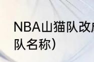 NBA山猫队改成什么了（nba全部球队名称）