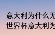 意大利为什么无缘2022世界杯（18年世界杯意大利为何没进）