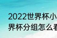 2022世界杯小组赛分组（2022年世界杯分组怎么看）