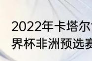 2022年卡塔尔世界杯非洲区排名（世界杯非洲预选赛积分榜）