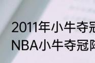 2011年小牛夺冠时有那些球员（2011NBA小牛夺冠阵容）