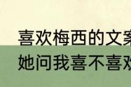 喜欢梅西的文案（跟一个女孩子表白，她问我喜不喜欢梅西，是什么意思）