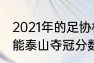 2021年的足协杯是哪个队的冠军（鲁能泰山夺冠分数）