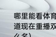 哪里能看体育比赛回放（辽宁体育频道现在重播双人斗地主鞍东兄弟叫什么名）