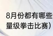 8月份都有哪些拳王争霸赛（世界上重量级拳击比赛）