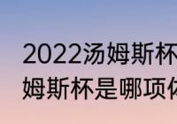 2022汤姆斯杯冠军是谁（尤伯杯和汤姆斯杯是哪项体育竞赛）