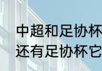 中超和足协杯区别（请问中超中超杯还有足协杯它们有什么区别）