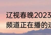 辽视春晚2023各节目时间点（北京21频道正在播的连续剧）