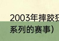 2003年摔跤狂热赛程（wwe有几个系列的赛事）