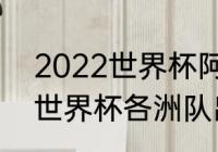 2022世界杯阿根廷输给了谁（2022世界杯各洲队出线的国家）