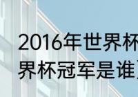 2016年世界杯详细比赛结果（16年世界杯冠军是谁）