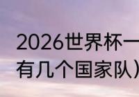 2026世界杯一个小组几个队（世界杯有几个国家队）