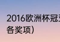 2016欧洲杯冠亚军得主（2016欧洲杯各奖项）